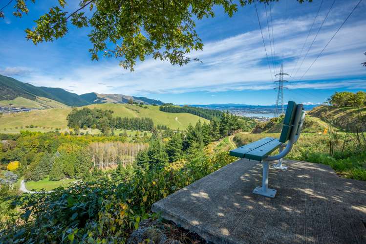 184 Panorama Drive Enner Glynn_17