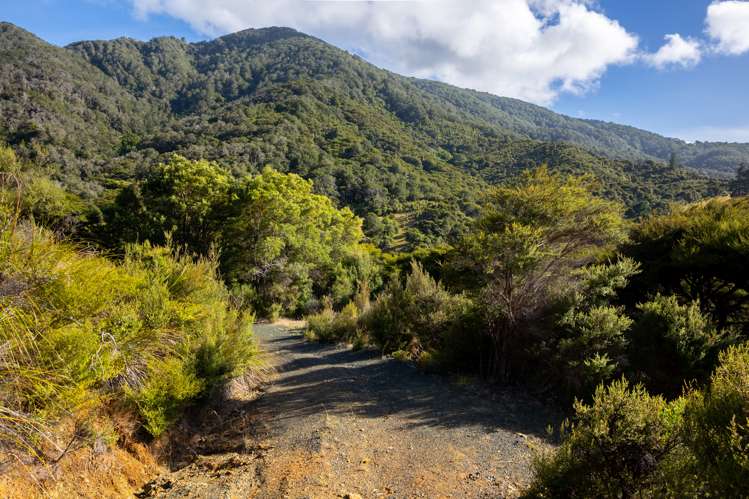 Kapowai Bay Marlborough Sounds_8