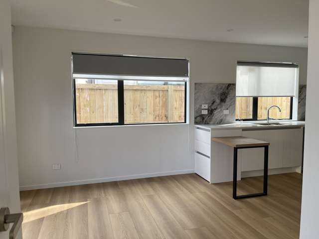 7B Penney Ave Mount Roskill_3