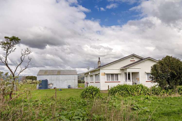 Queens Farm, 16 McGinley Road Opotiki_15