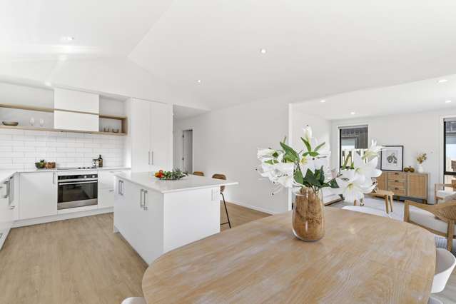 7 Lindis Road Wanaka_2