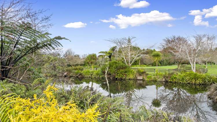 50 Lepper Road Inglewood_21