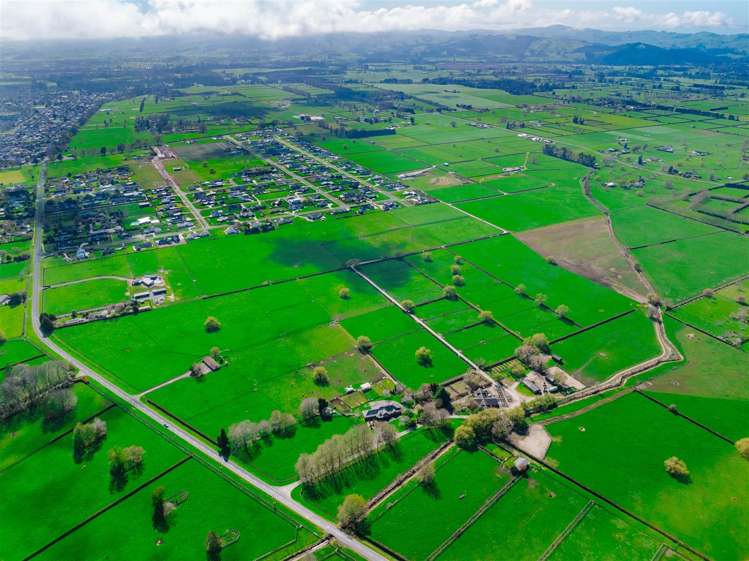 122 Rotoorangi Road Cambridge_26