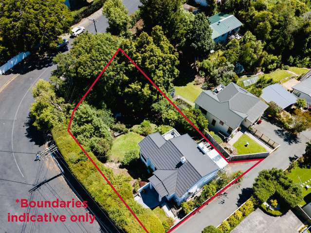 12 Spylaw Street Maori Hill_1