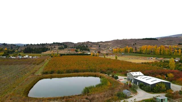 13 Blackman Road Earnscleugh_4
