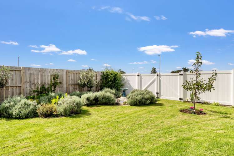 4 Te Taniwha Road One Tree Point_24