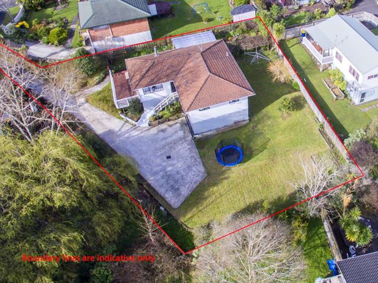 18 Palm Court Drive Glen Eden_16