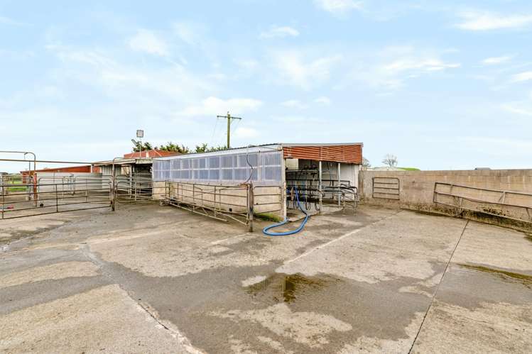 323 Rotokare Road Eltham_11