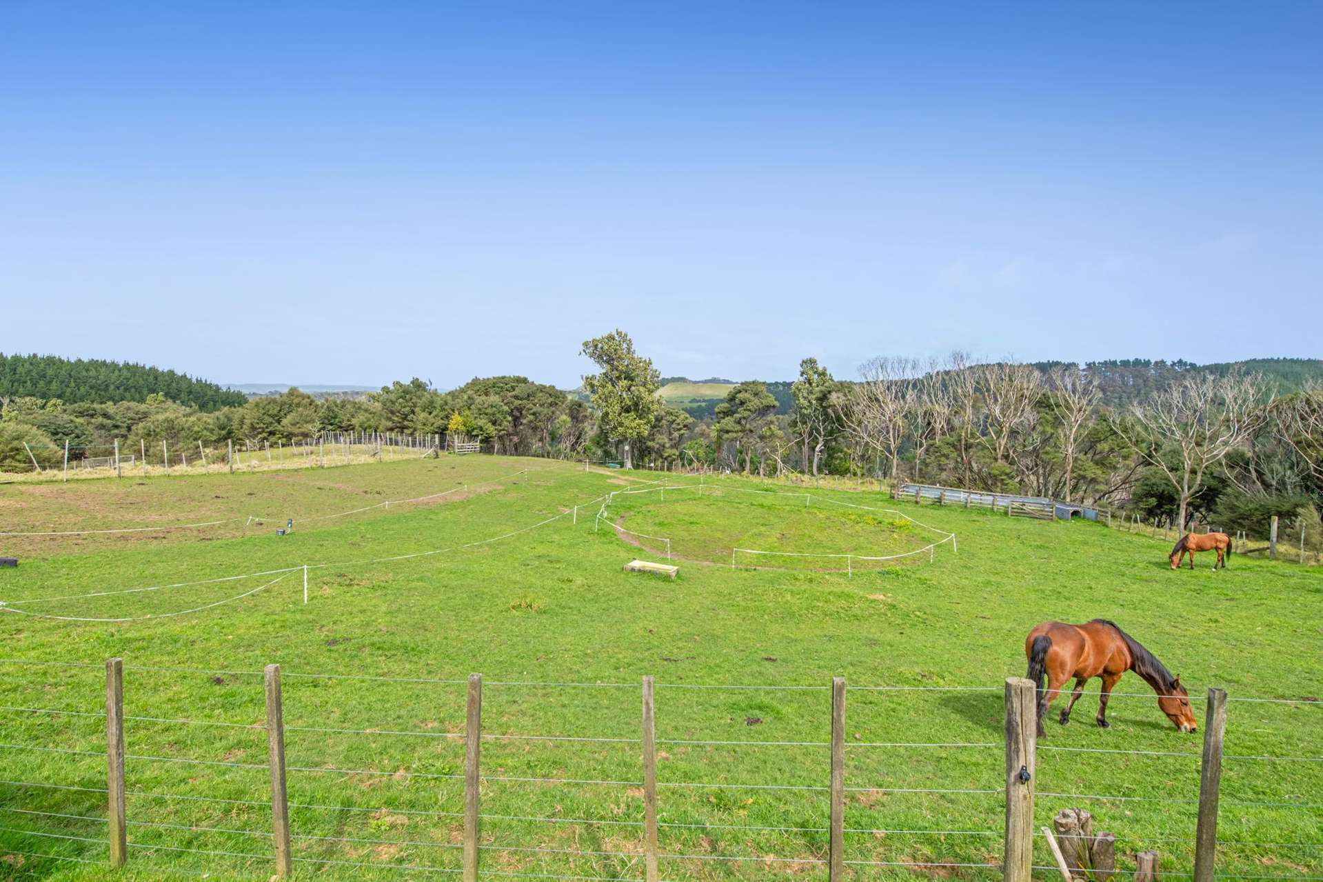 211 Wilson Road Helensville_0