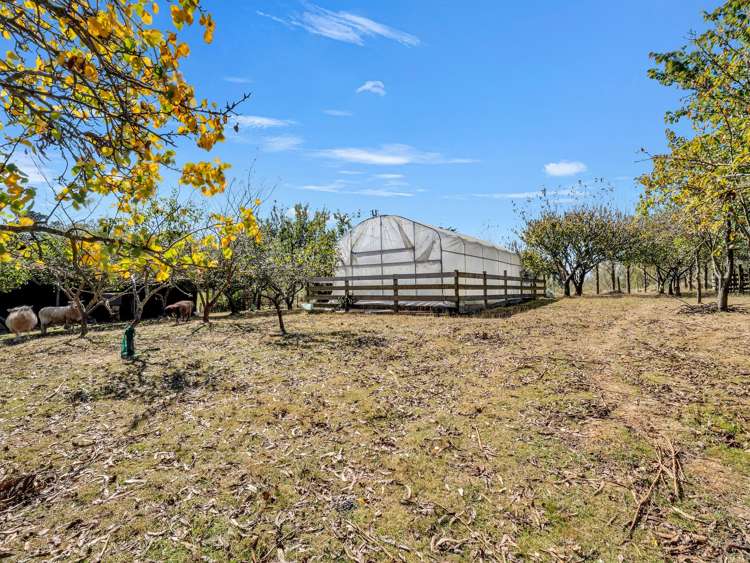 371 Tutaki Road Bunnythorpe_27