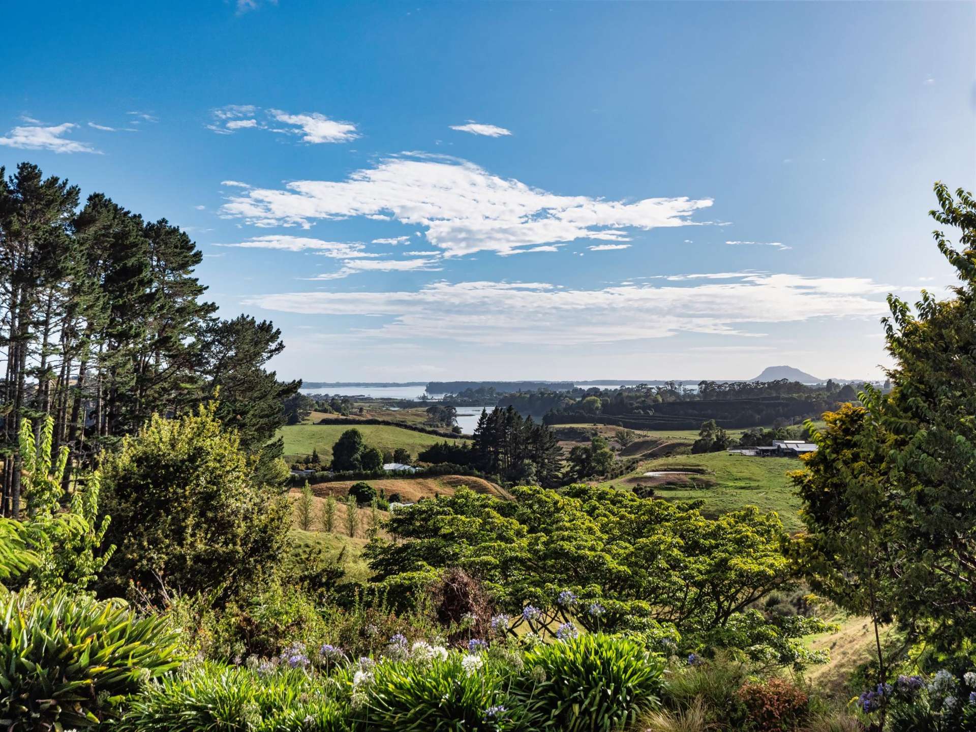 73B Youngson Road Whakamarama_0