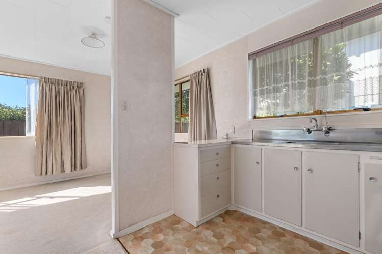 52d Third Avenue Tauranga Central_6