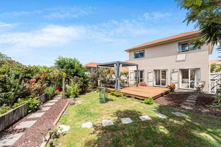 67 Clea View Gulf Harbour_8