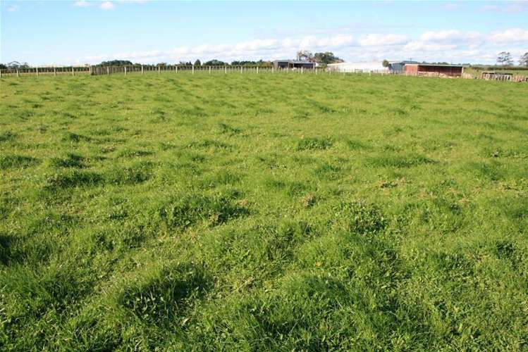 318c Manutahi Road Lepperton_14