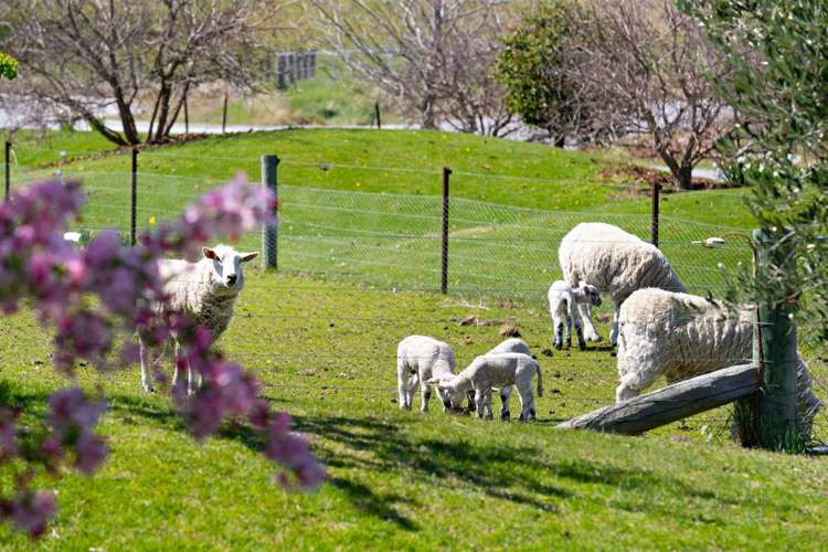 83b Black Peak Road Wanaka_56