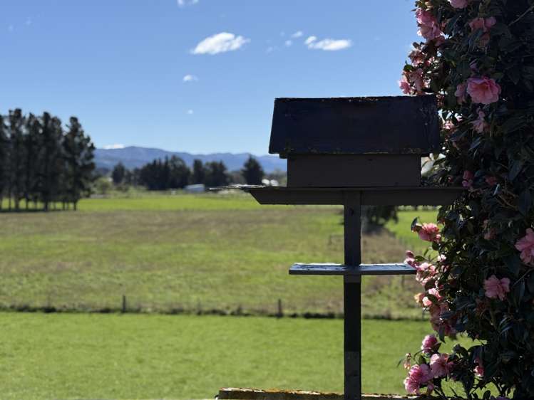 46 Studholme Settlement Road Waimate_27
