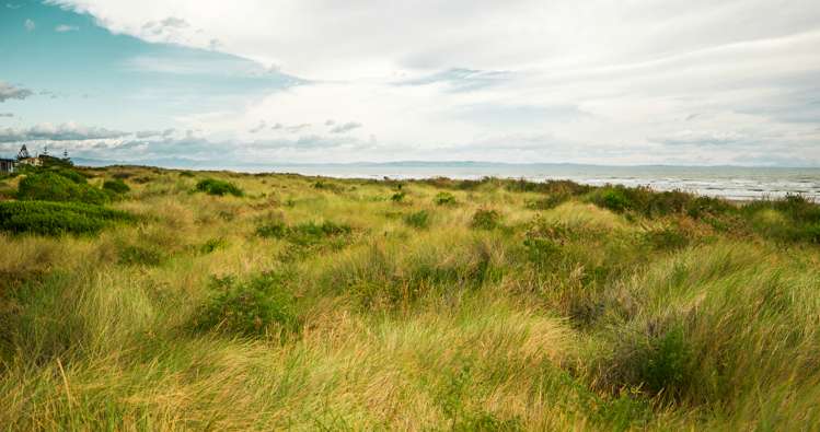 205 Rocking Horse Road Southshore_20