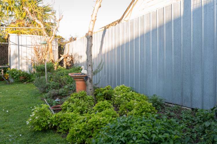 43c Hamilton Road Cambridge_3
