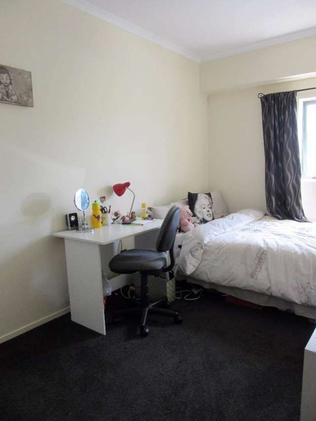 4/140 Aerodrome Road Mt Maunganui Tauranga Houses for Rent OneRoof