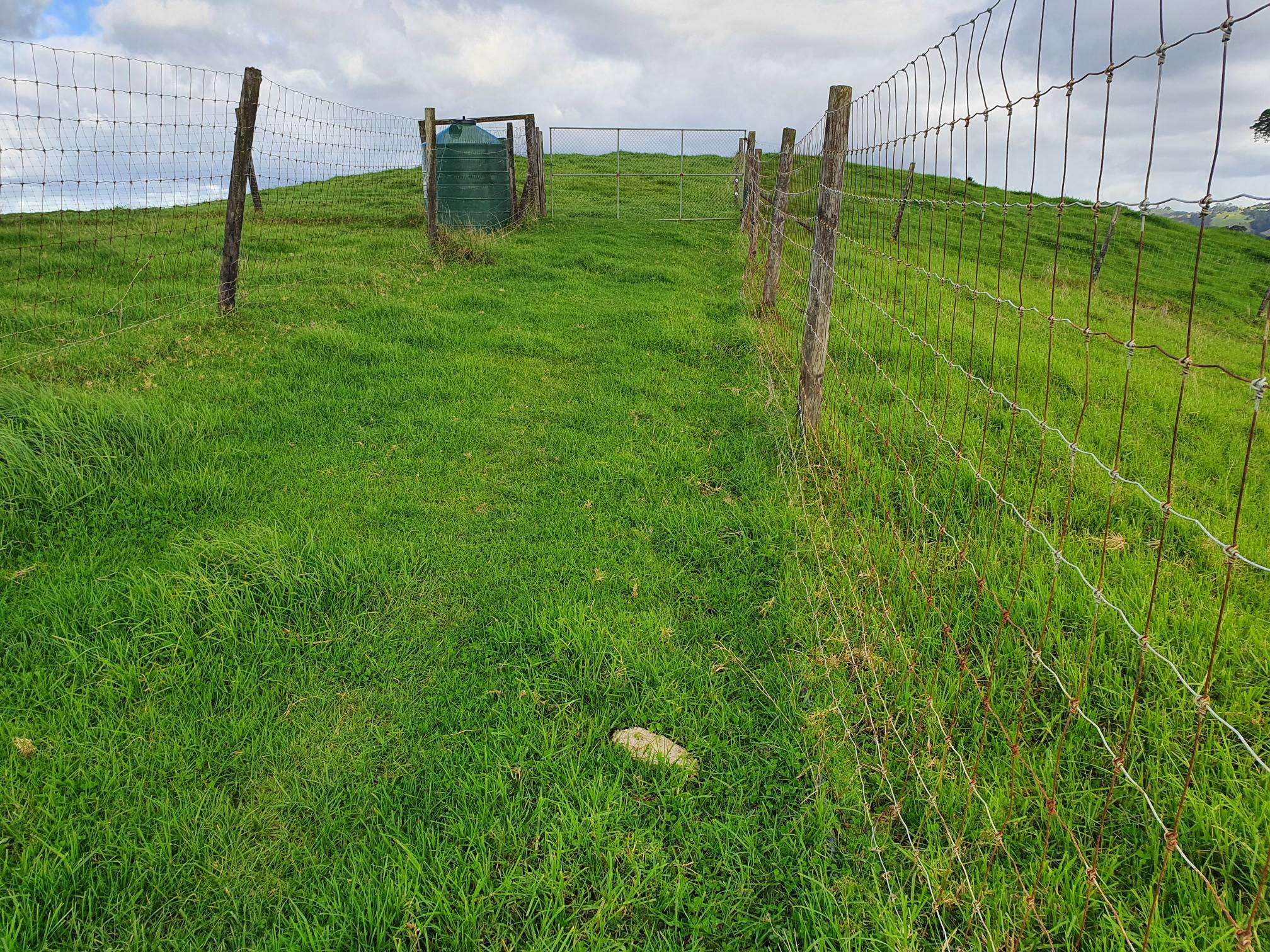 Curd Road Maungakaramea Whangārei Rural Property For Sale One Roof