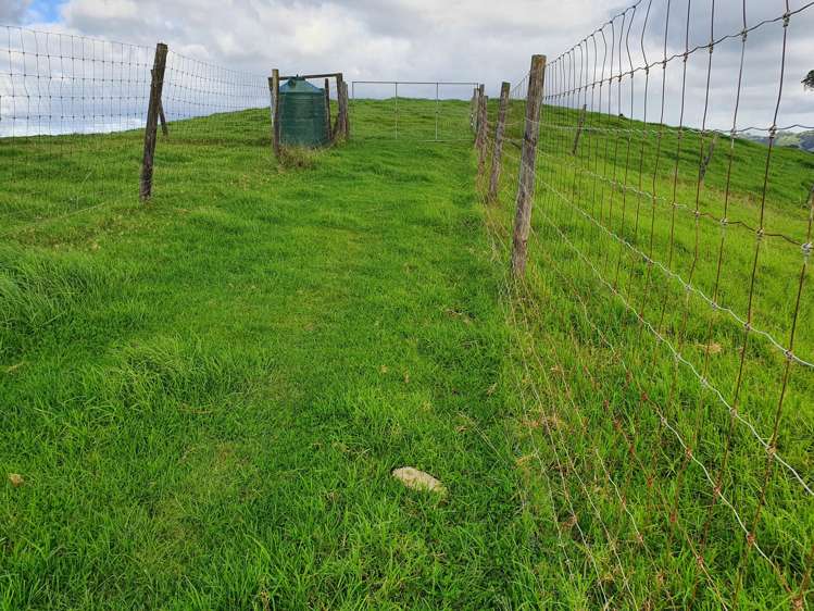 Curd Road Maungakaramea_9
