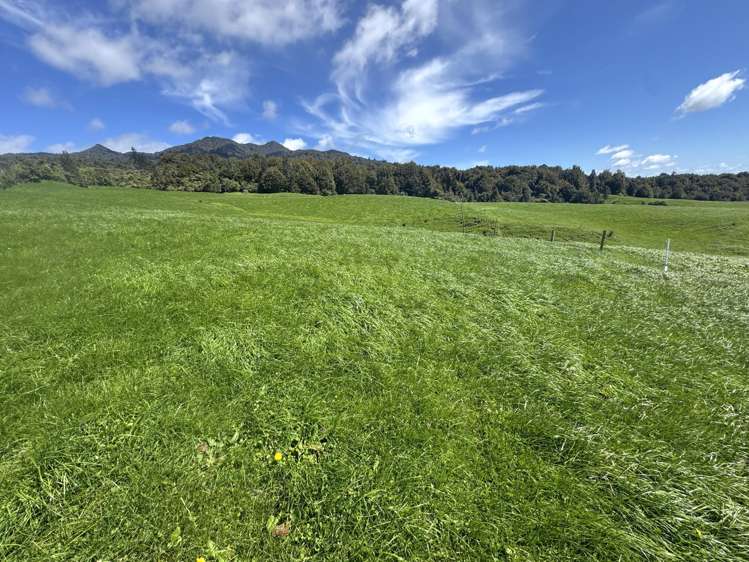 3/585 O'Shea Road Pirongia_13