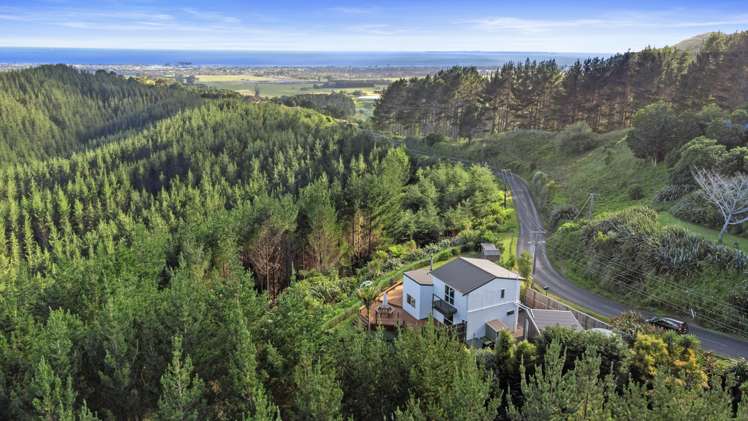 248 Reid Road_0