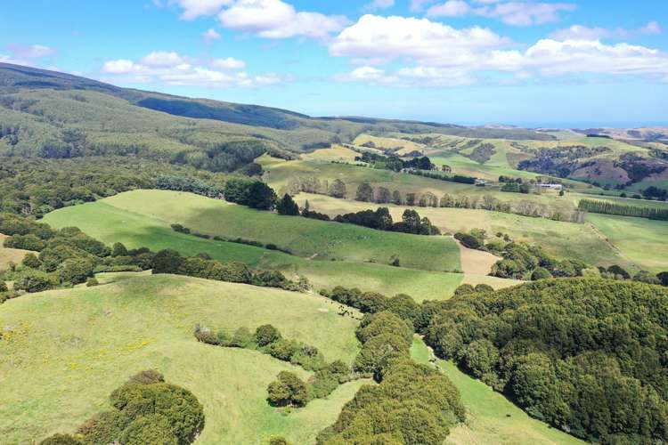 110 Harrison Road Tuatapere_4