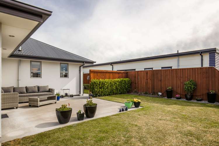 3 Vittoria Lane Pegasus_16