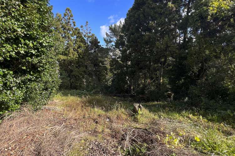 1016 East Coast Road Fairview Heights_6