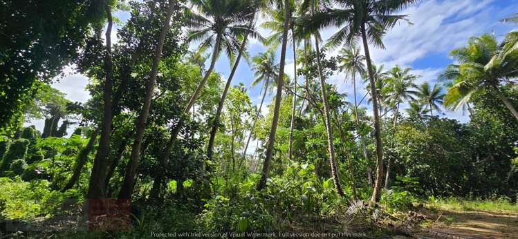 Address withheld Savusavu_24