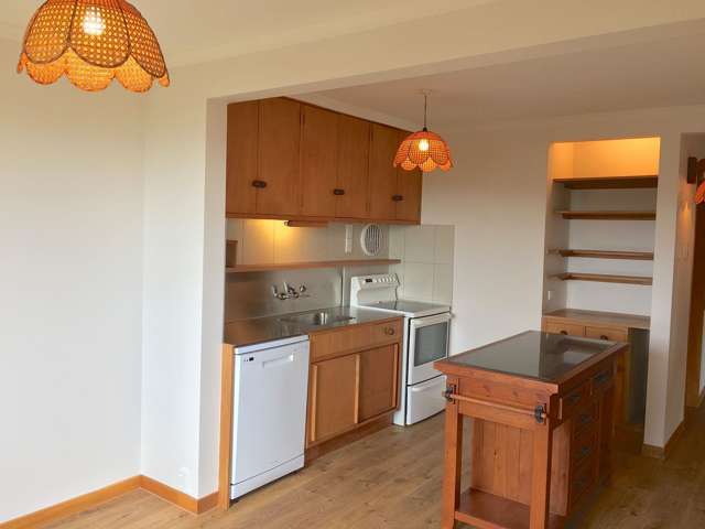 135 Mt Pleasant Road Mount Pleasant_3