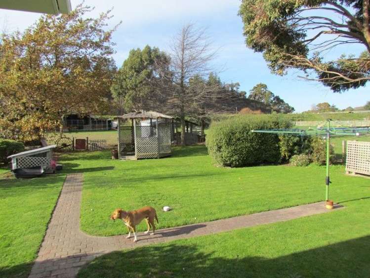 14 Wakefield Street Tuamarina_9