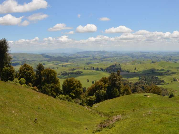 1630 Aotearoa Road Wharepapa South_7