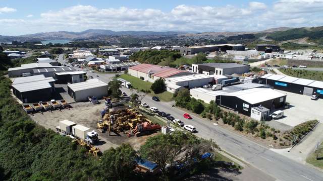 8C and 8D Broken Hill Road Kenepuru_1