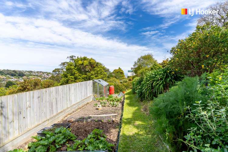 10 Archibald Street Waverley_23