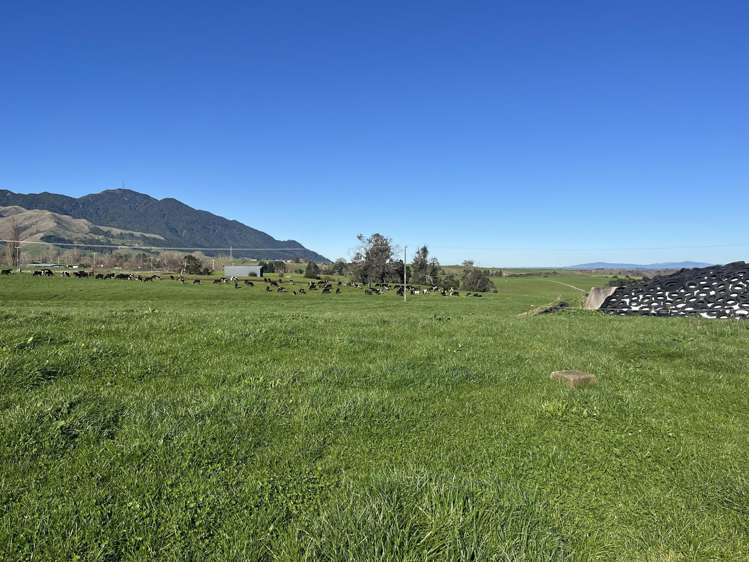 298 Rawhiti Road Te Aroha_25