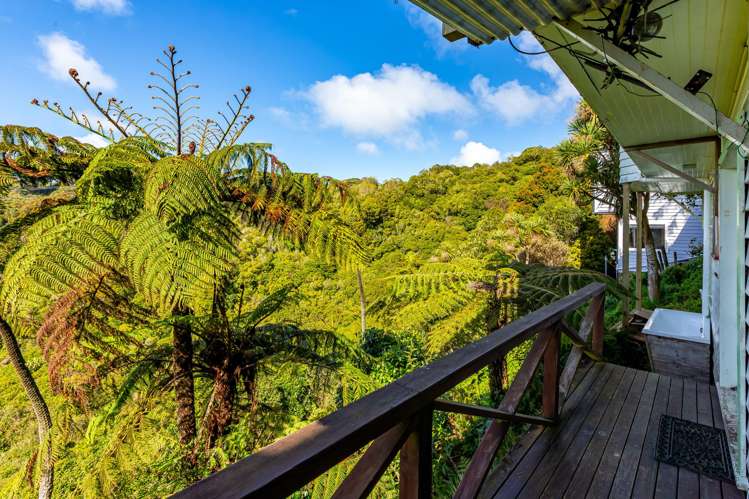 61 Mount Pleasant Road Aro Valley_13