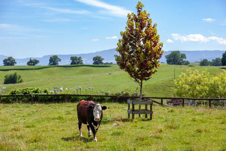 21 Tapapa West Road Tapapa_21