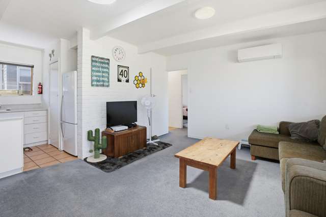 405A Fergusson Drive Thames-coromandel_3