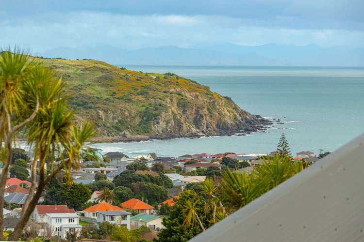 117a Gloaming Hill Titahi Bay_5