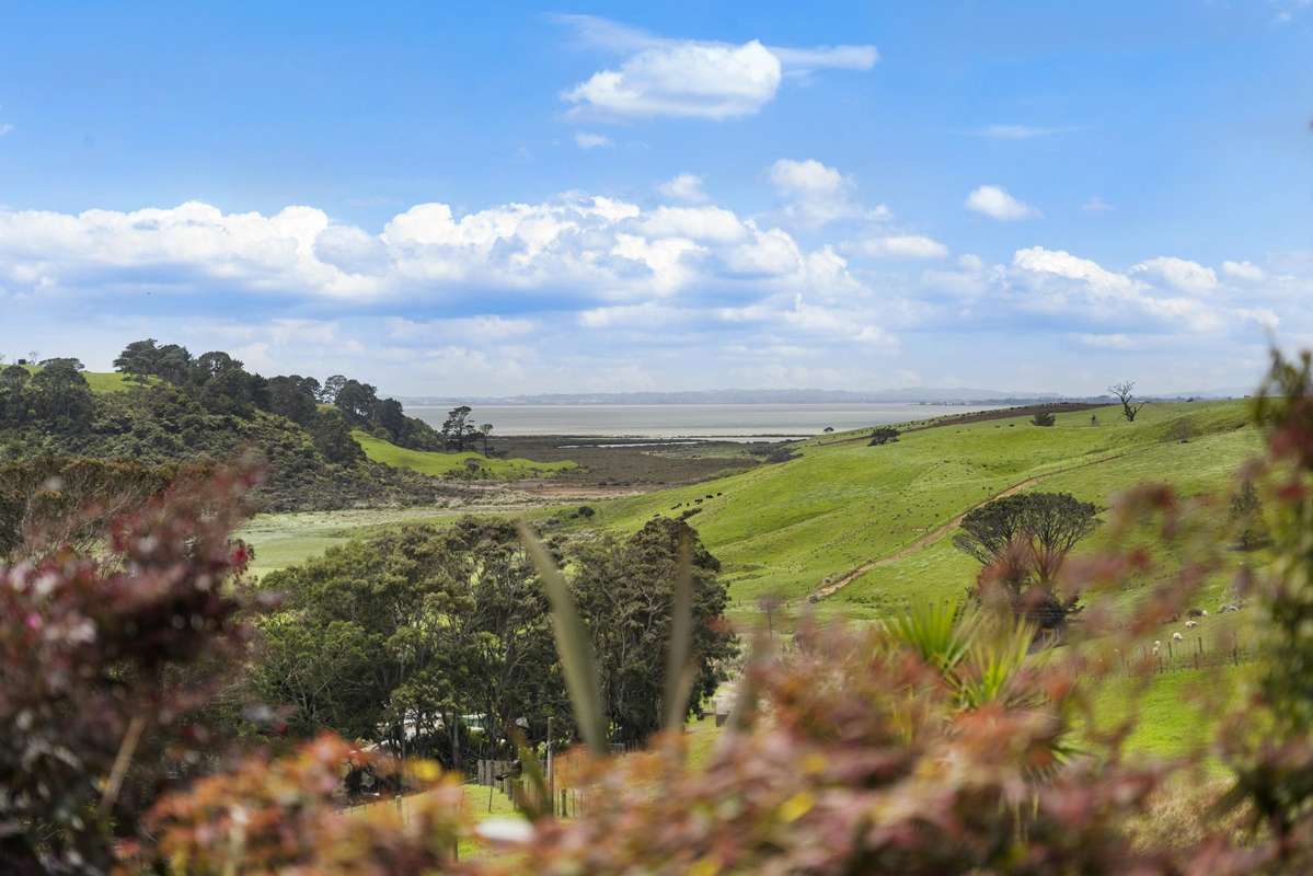 443 Lees Gully Road_2