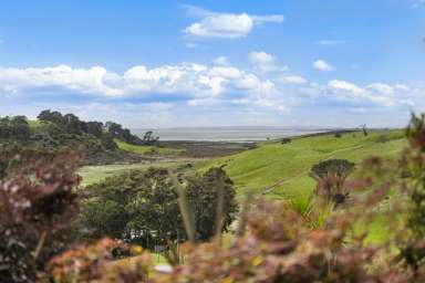 443 Lees Gully Road_4