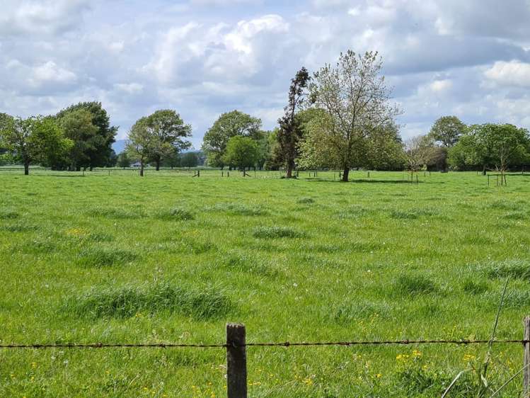 139 Taylor Road Gordonton_21