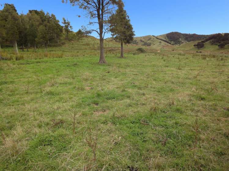 190 Harris Road Woodville_3