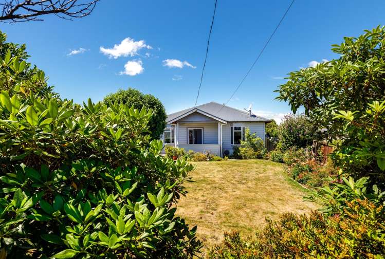 49 Weld Street Redwoodtown_21