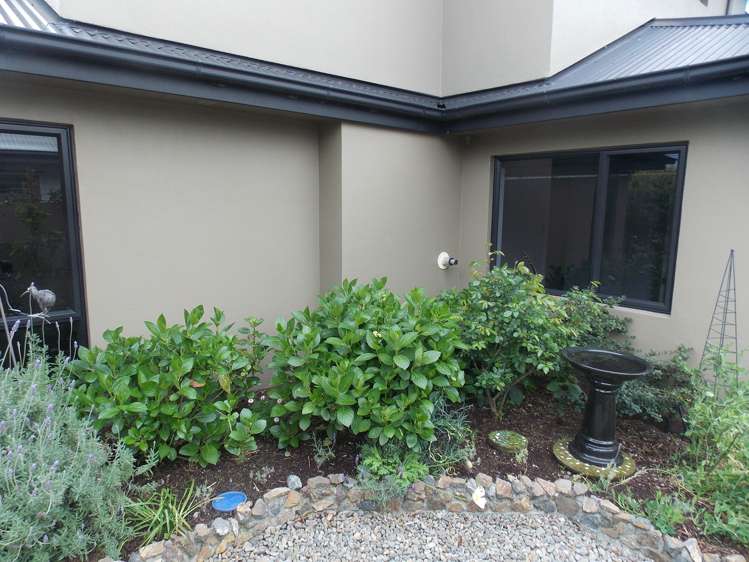 236 Albert Street Hokowhitu_12