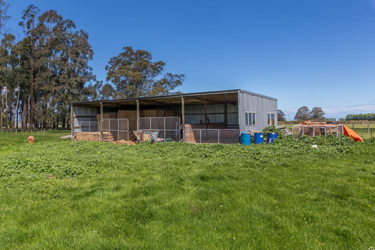 177 Selwyn Lake Road Leeston_5