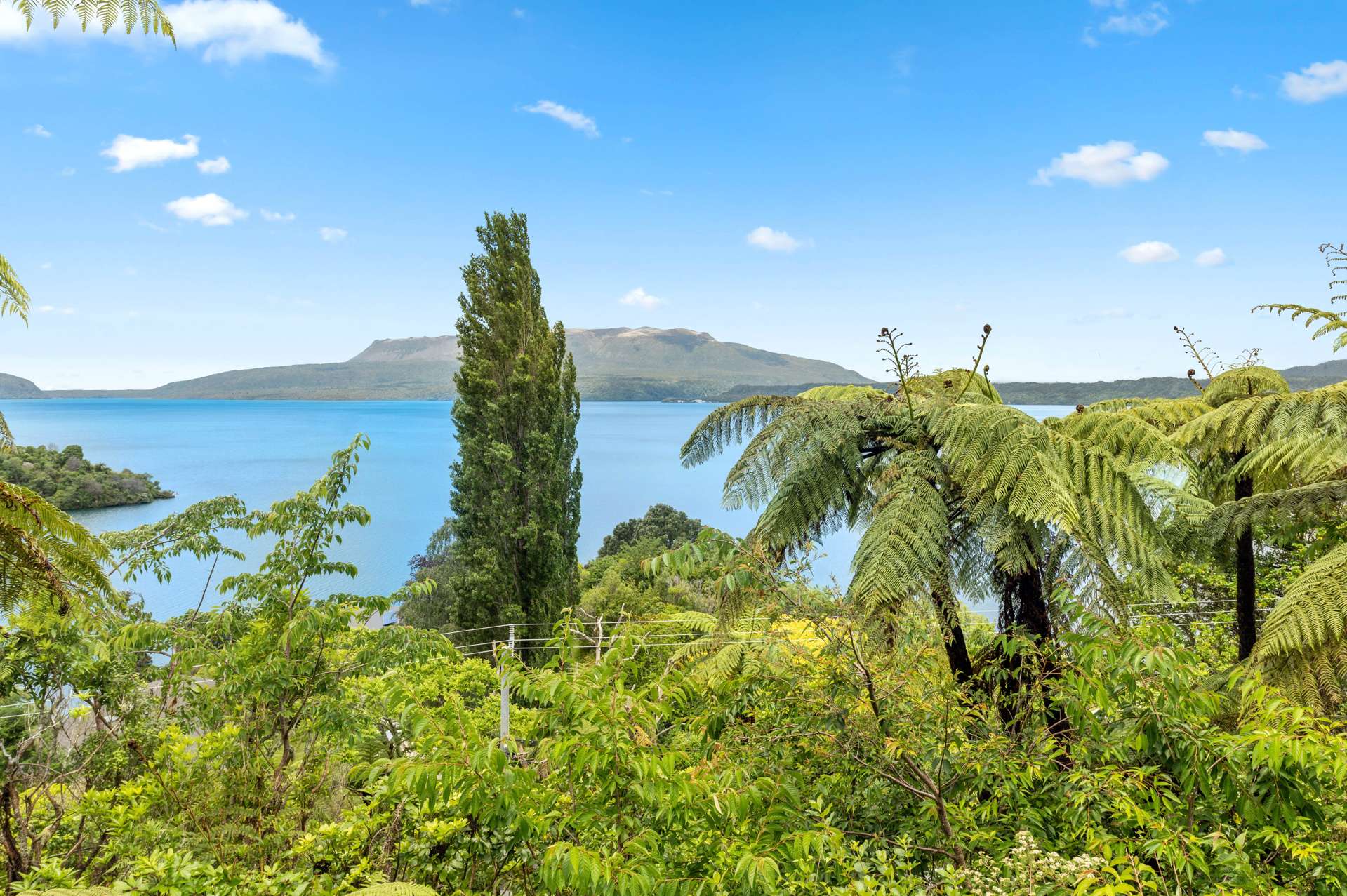 34-36 Spencer Road Lake Tarawera_0