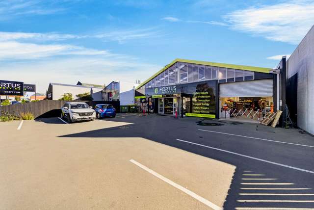 27 Elgin Street Sydenham_1